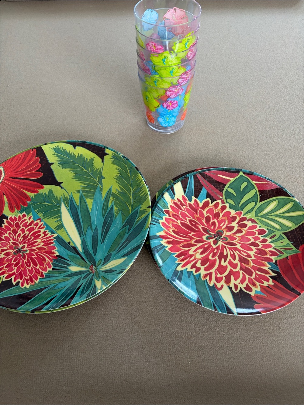 Bright Floral Melamine Dinner Plates in Red and Green - Set of 2 with 6 glasses